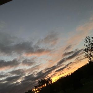 Meet your Posher, Dane